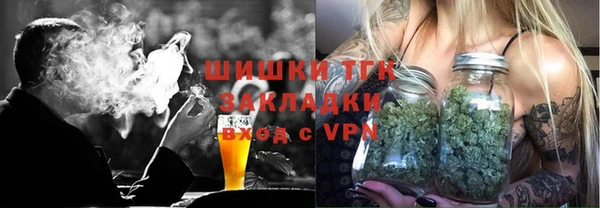 шишки Няндома