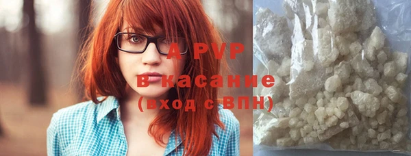 шишки Няндома