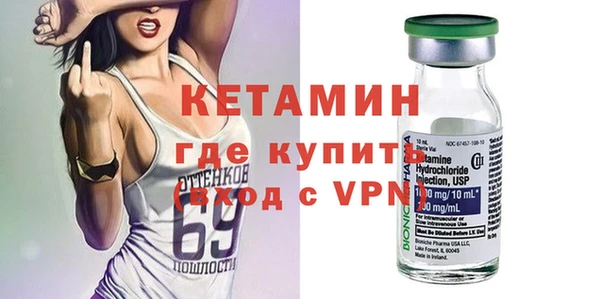 шишки Няндома