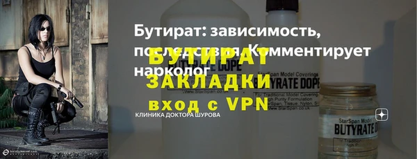 шишки Няндома