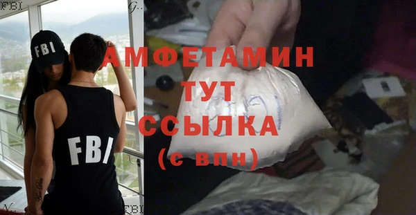 шишки Няндома