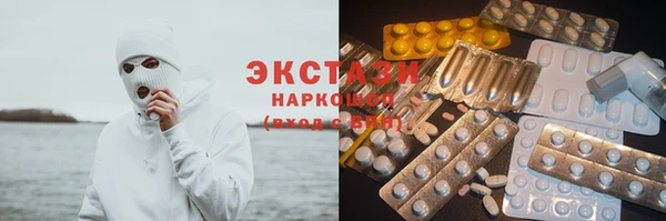 шишки Няндома