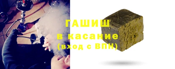 шишки Няндома