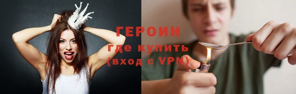 шишки Няндома