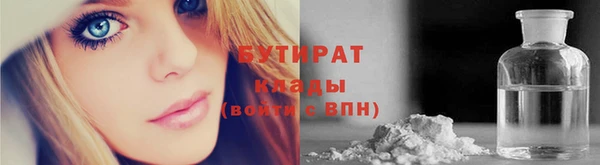 шишки Няндома
