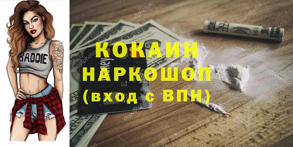шишки Няндома