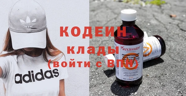шишки Няндома