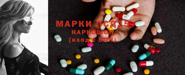 шишки Няндома