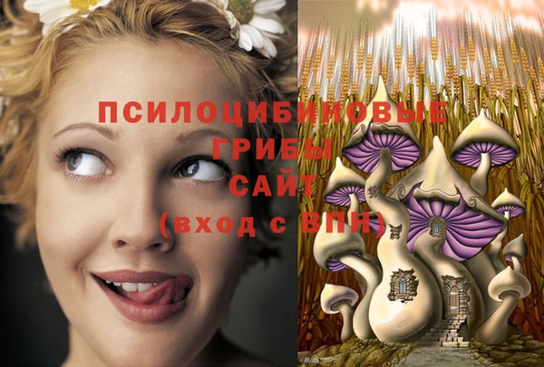 спиды Нязепетровск