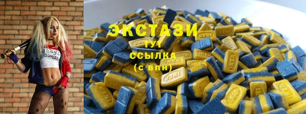шишки Няндома