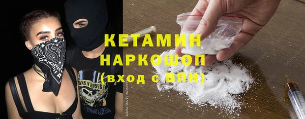 шишки Няндома