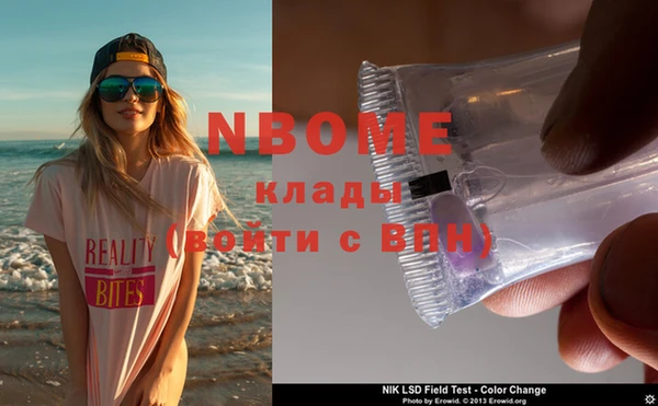 шишки Няндома