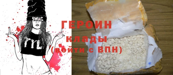 шишки Няндома
