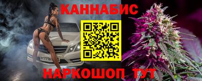 прущие крисы Будённовск