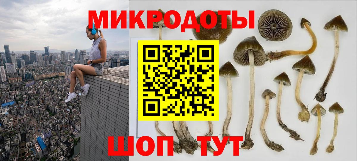 Псилоцибиновые грибы Cubensis  Зерноград 