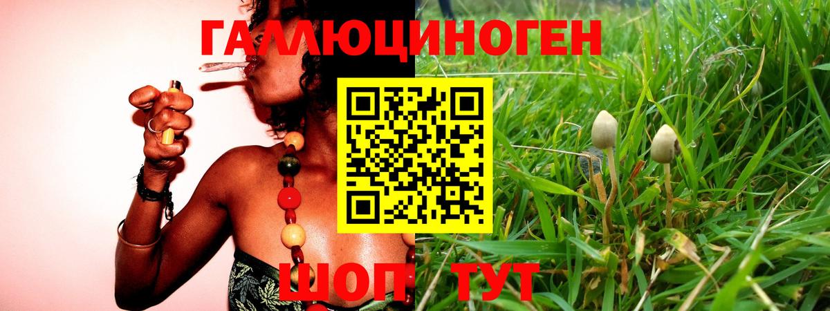 Псилоцибиновые грибы прущие грибы Зерноград