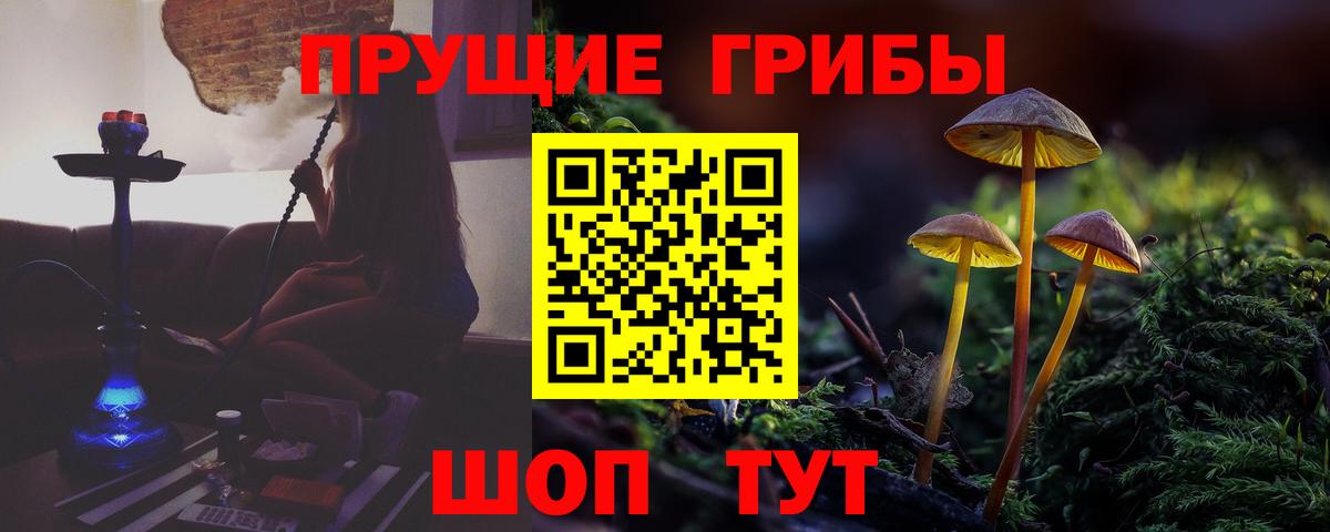 Галлюциногенные грибы GOLDEN TEACHER  Галлюциногенные грибы Magic Shrooms  Вход с VPN  Зерноград 