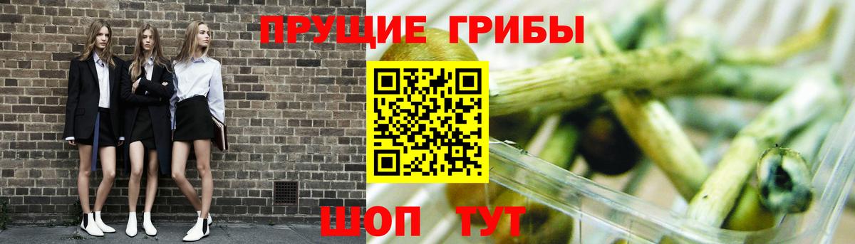 Псилоцибиновые грибы Magic Shrooms Зерноград