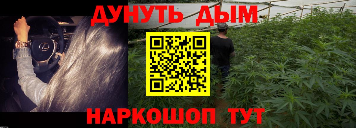 Бошки Шишки MAZAR Зерноград